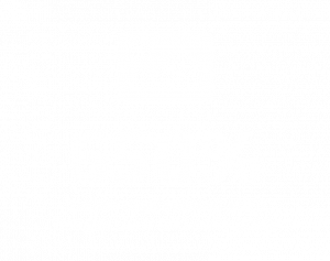 650% higher engagement with images than text only posts.
