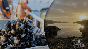 Seafood Shetland and Shetland Oyster collage